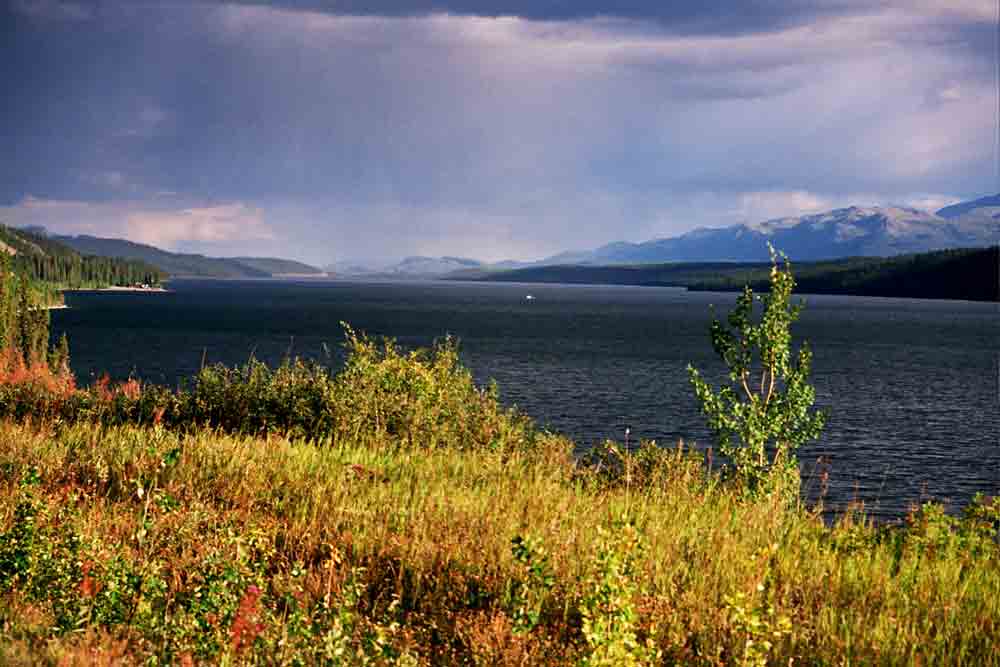 100 - Canada - Yukon, rio Yukon